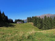 32 Rif. Alpe Cantedoldo (1500 m)
